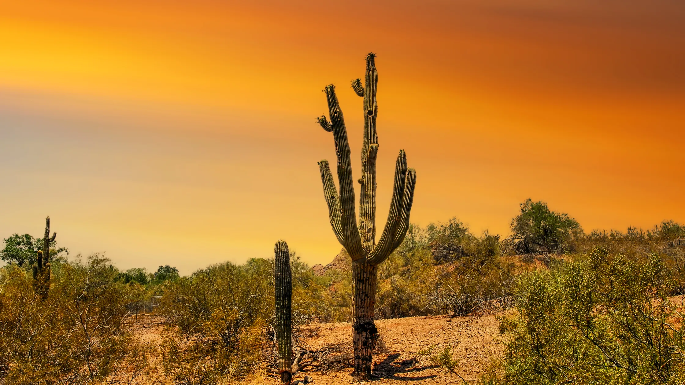 Nuestro ADN Background